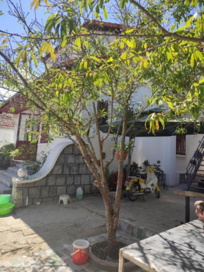 Tiên Hoa Sơn Villa